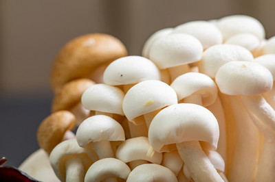 How does ergothioneine modulate Nrf2 pathway activation?